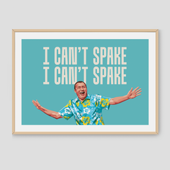Darts Art  I Can't Spake - Print, Design: Wayne Mardle, Format: A3