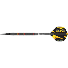 Datadart Ricardo Pietreczko Softdart 90%, Gewicht: 21g