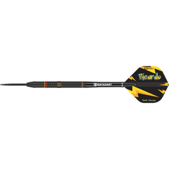 Datadart Ricardo Pietreczko Steeldart 90%, Gewicht: 21g