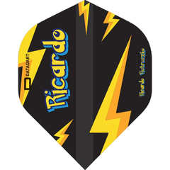 Datadart Ricardo Pietreczko - Pikachu Flights, Typ: Typ 1