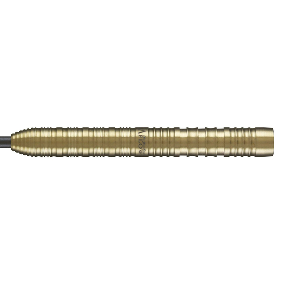Dynasty Eddie 1.1 Edward Foulkes Steeltip 23g