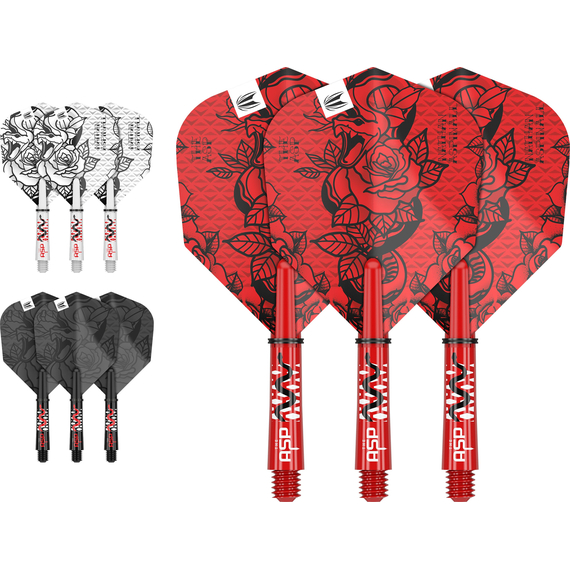 TARGET NATHAN ASPINALL INK FLIGHT & SHAFT KIT, Variante: Short